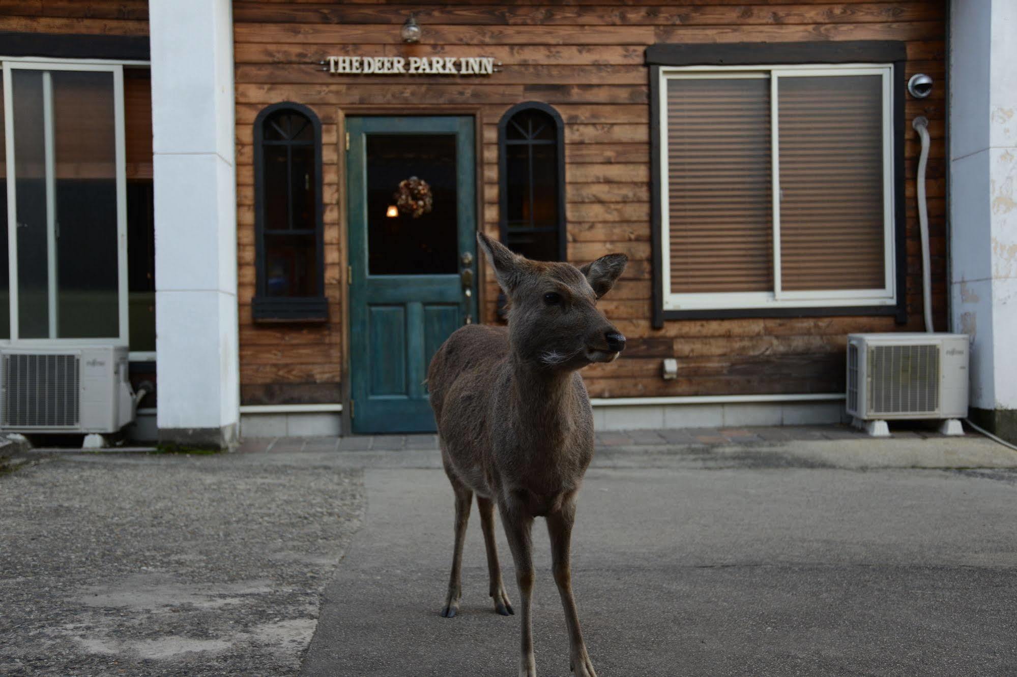 נארה The Deer Park Inn מראה חיצוני תמונה